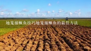 地笼捕鳜鱼技巧地笼捕鳜鱼的最佳方法