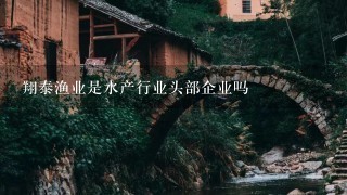 翔泰渔业是水产行业头部企业吗