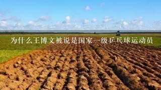 为什么王博文被说是国家1级乒乓球运动员