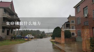 蜜蜂捅放什么地方