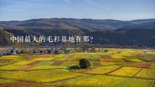 中国最大的毛衫基地在那？