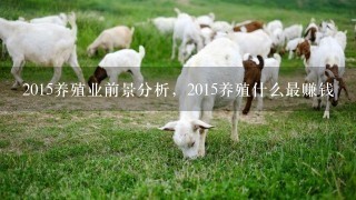 2015养殖业前景分析，2015养殖什么最赚钱