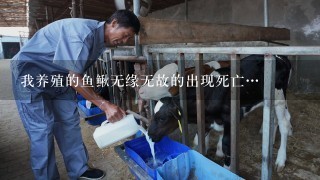 我养殖的鱼鳅无缘无故的出现死亡…