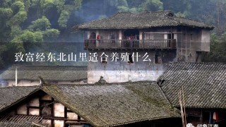 致富经东北山里适合养殖什么