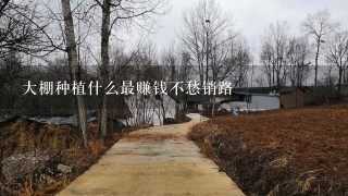 大棚种植什么最赚钱不愁销路