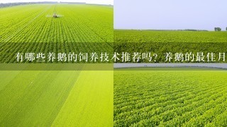 有哪些养鹅的饲养技术推荐吗？养鹅的最佳月份是几月