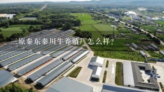 3原秦东秦川牛养殖厂怎么样？