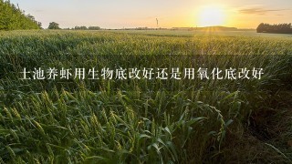 土池养虾用生物底改好还是用氧化底改好