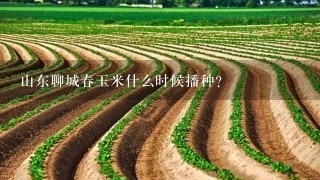 山东聊城春玉米什么时候播种？