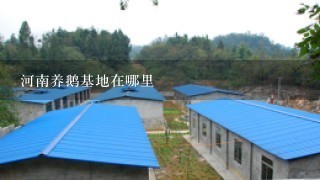 河南养鹅基地在哪里