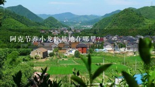 阿克节养小龙虾基地在哪里?