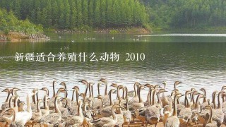 新疆适合养殖什么动物 2010