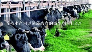 养殖水产用以绿藻为食的微生物是什么?