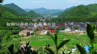 如何饲养奶山羊基本方法