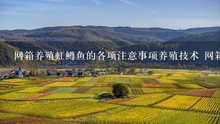 网箱养殖虹鳟鱼的各项注意事项养殖技术 网箱养殖虹