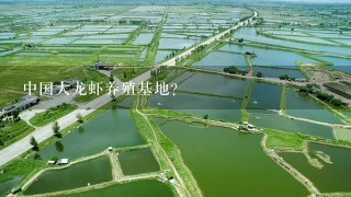 中国大龙虾养殖基地？