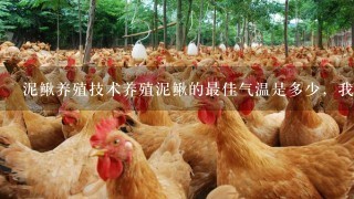 泥鳅养殖技术养殖泥鳅的最佳气温是多少，我是贵州毕节的请问适合养殖泥鳅吗