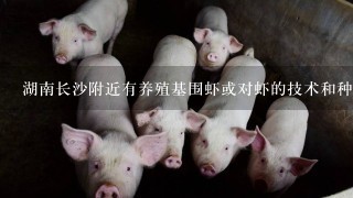 湖南长沙附近有养殖基围虾或对虾的技术和种苗吗