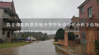 我是山东的想养殖中华甲鱼请帮忙分析下市场前景。 现在的市场价格是多少? 养殖甲鱼哪个品种好? 中华甲鱼