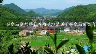 秦皇岛夏都蘑菇养殖基地是属于秦皇岛菌类有限公司吗？