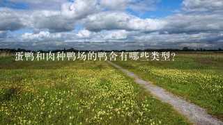 蛋鸭和肉种鸭场的鸭舍有哪些类型？