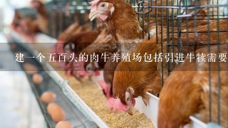 建1个5百头的肉牛养殖场包括引进牛犊需要多少钱