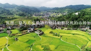 狐狸、貉等毛皮动物养殖场用膨化机的市场如何？