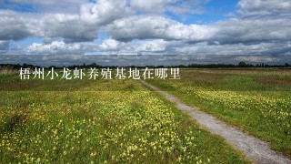 梧州小龙虾养殖基地在哪里