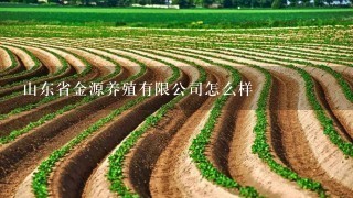 山东省金源养殖有限公司怎么样