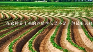 在农村养土鸡的养殖季节是不是1般最好选择3—6月份育雏？