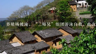 养殖场被淹，“2师兄”组团游泳自救，此次暴雨给养