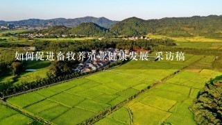 如何促进畜牧养殖业健康发展 采访稿