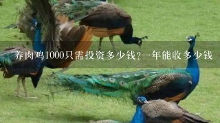 养肉鸡1000只需投资多少钱?1年能收多少钱