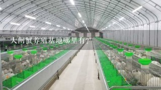 大闸蟹养殖基地哪里有？