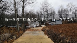 新手养绵羊好还是养山羊好，新手养羊是买羊羔还是买