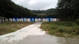 山乌龟室内养殖方法和注意事项？