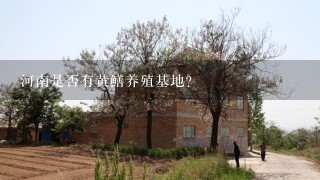 河南是否有黄鳝养殖基地?