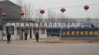 活鸡养殖场场地杀菌消毒用什么药好？