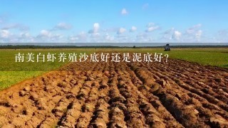 南美白虾养殖沙底好还是泥底好？