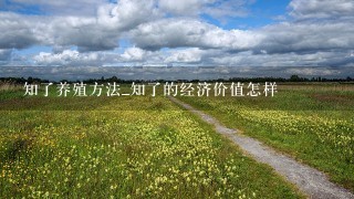 知了养殖方法_知了的经济价值怎样