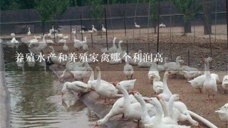 养殖水产和养殖家禽哪个利润高