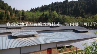 我想实地学习黄鳝养殖技术，请问哪里可以学习黄鳝养