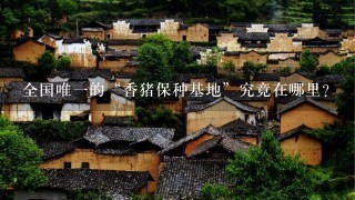 全国唯1的“香猪保种基地”究竟在哪里？