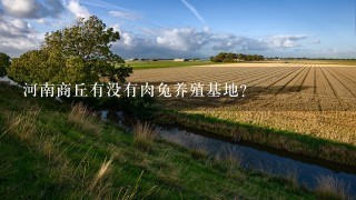 河南商丘有没有肉兔养殖基地？