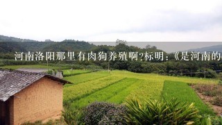 河南洛阳那里有肉狗养殖啊?标明:《是河南的，不是山东的，到哪1查都是山东的，郁闷》……