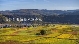 黄骨鱼养殖技术及成本