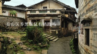 在山区养黑豚鼠有销路吗