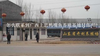 怎么联系到广西上思鸭嘴鱼养殖基地付伟呢？