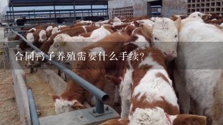 合同鸭子养殖需要什么手续？