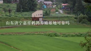 山东济宁嘉祥鹌鹑养殖基地可靠吗